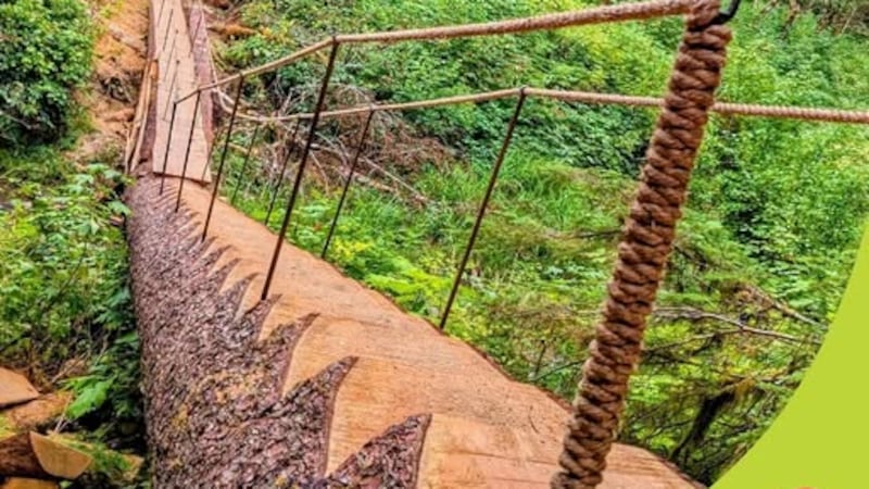 Stairs added to South Hirsch Creek Trail