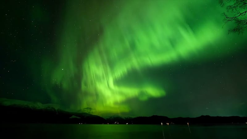 Locally made film “the Night Walkers” showcases Northwest BC at night