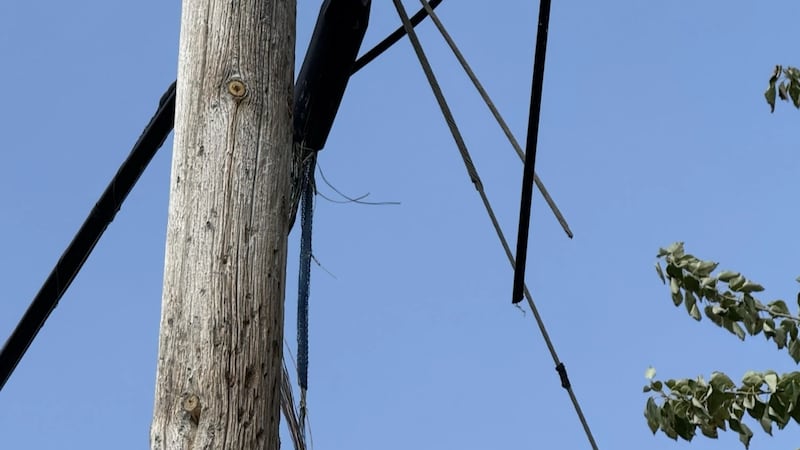Telus provides update on Northwestern BC service outage