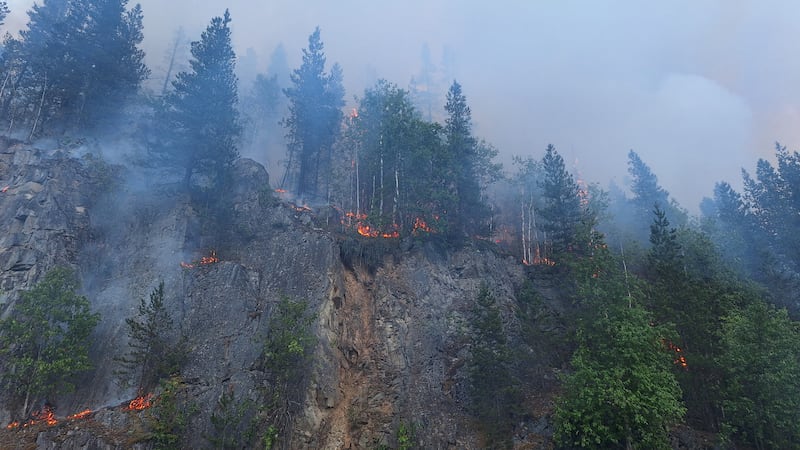 Evacuation Alert issued for Cedarvale due to wildfire
