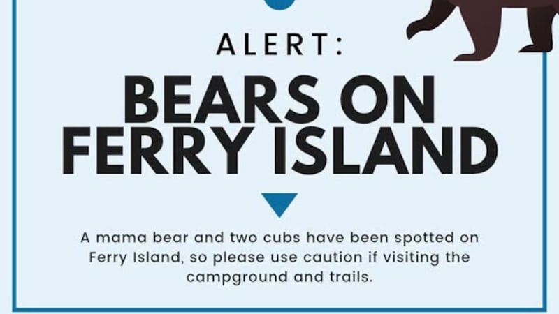 City of Terrace warns of bear sightings on Ferry Island