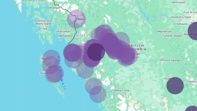 Copper Cables Thieves Cut Telus Fiber Optic, Causes Major Internet Outage in North-West BC