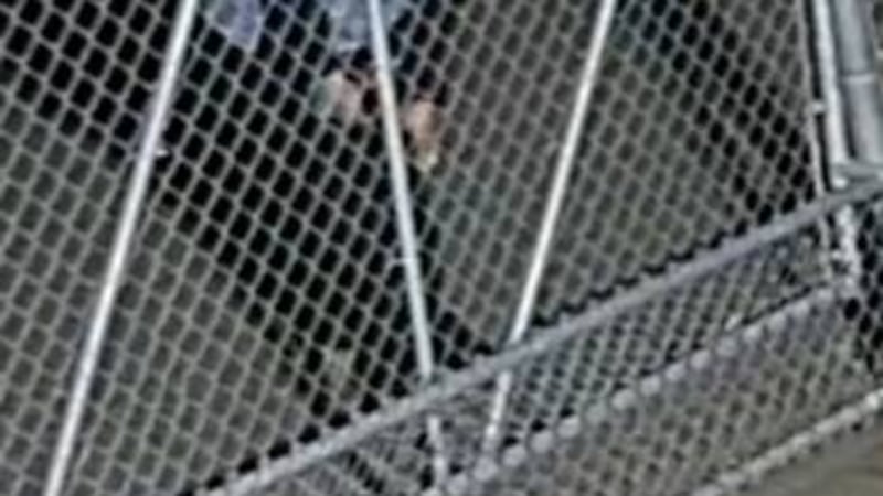 Terrace RCMP investigating mischief incidents