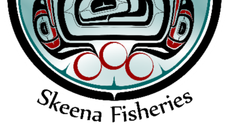 Skeena Fisheries Commission concerned over low salmon returns
