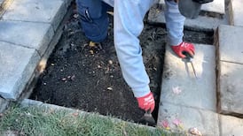 Ottawa homeowners could be paying more and waiting longer following new landscaping bylaw