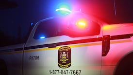 Public help sought after moose shot, left to waste northwest of Elliot Lake