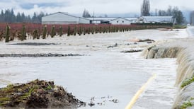 LIVE UPDATES: Conditions improve in areas hard-hit by B.C. flooding, but more rain expected 