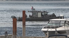 Man arrested under Mental Health Act after hours-long crisis negotiations that delayed BC Ferries sailings 