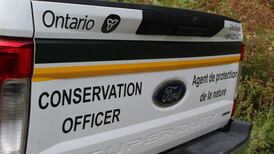 Two people fined for illegal moose hunting in Ottawa