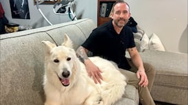 ‘Saved my life every day’: Retired solider and police officer pushes for first responder service dogs