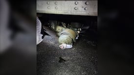 Highway hazard: OPP stop tractor-trailer missing full set of rear tires on Hwy. 17