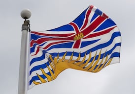 B.C. coroner’s panel report calls for action to reduce the risk of youth suicide