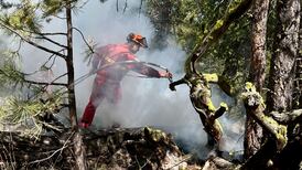 Firefighters battle massive wildfire burning out of control in B.C. Interior