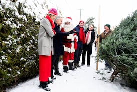 The holiday countdown in Ottawa is on, and even the Prime Minister is looking for a tree