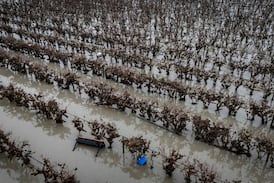 ‘High impact’ warning as heavy rains forecast to cause more flooding in B.C.