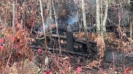 Firefighters battle wildfire near Gracefield, Que.
