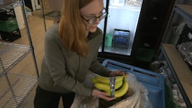 Two-parent families, full-time workers among those in need of food banks: report