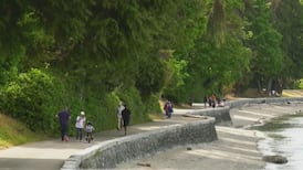 Feds pitch in $249K for ecological restoration at North Vancouver's Moodyville Park