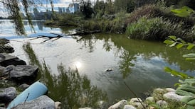 Vancouver Park Board to vote on $30M plan to reconnect Lost Lagoon to the ocean