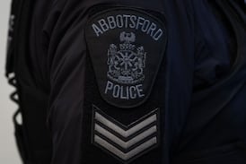 ‘Prolific offender’ arrested in Fraser Valley after backing into cruiser, driving away: police