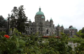 MLA wants to scrap B.C.'s Human Rights Code. Some constituents want her gone instead