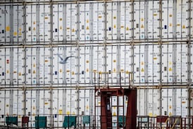 Customs portal causing headaches more than a year into its rollout