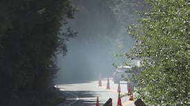 Wildfire at B.C.’s Cultus Lake not expected to spread further 