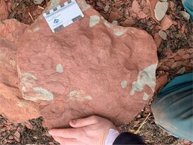 P.E.I. footprint fossil could rewrite evolution timeline, researchers say
