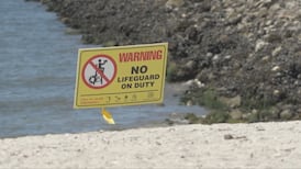 Union launches petition to restore funding for lifeguards at Vancouver beaches