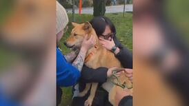 North Vancouver dog missing for 54 days reunited with family