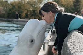 Beluga trainer fired by Marineland speaks out 
