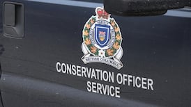17 charges laid in B.C. wildlife trafficking case, officials say 