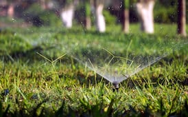 No lawn watering starting May 1 as Metro Vancouver jumps to Stage 2 restrictions 