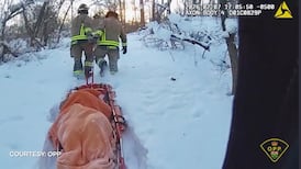 WATCH: Video shows rescue of woman who nearly froze to death in northern Ontario