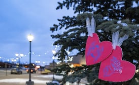Eby honours heroism of Tumbler Ridge kids while marking Pink Shirt Day