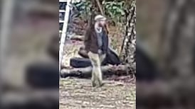 Vancouver Island police seek break-and-enter suspect 