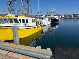 Cool ocean temperatures and high cost of fuel causes concern for Nova Scotia lobster industry