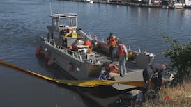 Comox Harbour sewage leak: Water quality monitoring continues following spill