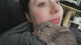 Saving baby bunny inspires B.C. woman to save herself