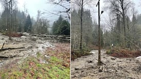 Landslide knocks out power lines as B.C. storm rages