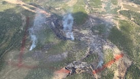 Evacuation alert issued due to wildfire between Williams Lake and Quesnel