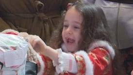 Boxes of Love hands out hundreds of holiday hampers to families in need 