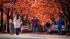 Metro Vancouver events to check out on the last weekend before Halloween
