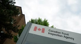 Egg products recalled in Ontario and Quebec due to Salmonella