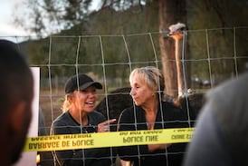 Court likely won’t decide whether to hear B.C. ostrich case until at least Oct. 30