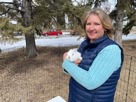 ‘It’s pretty sad to see’: Why pet rabbits are roaming the streets of Saskatoon 