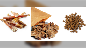At least 31 sick, 7 hospitalized in salmonella outbreak linked to dog food