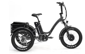 Electric tricycle stolen from child with special needs, Ridge Meadows RCMP say 