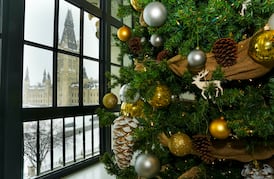 ‘Weather gods are not going to deliver’: White Christmas unlikely in parts of Canada 