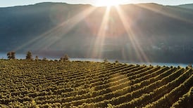 UNESCO names Kelowna as Canada’s first Creative City of Gastronomy 